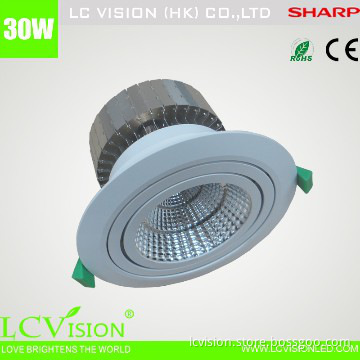 Newest 30W SHARP LED LAMP / Adjustable / Dimming